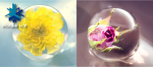 出来る丸氷のクオリティ