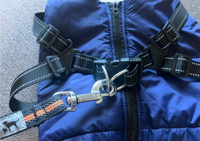 【IGUGHI ふわふわ ダウンベスト風ジャケット 犬用】リードをつければお散歩の準備完了！