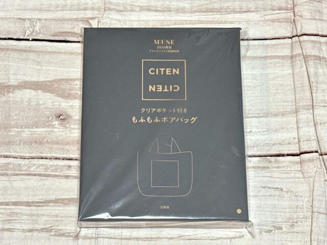付録は「CITEN （シテン）クリアポケット付きもふもふボアバッグ」