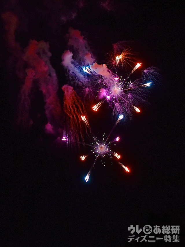 ブランニュードリーム｜東京ディズニーリゾート35周年“Happiest Celebration! ”