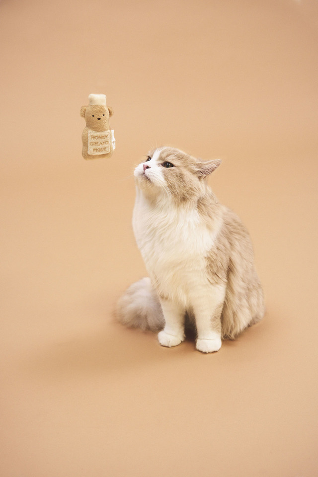 【GELATO PIQUE CAT＆DOG（ジェラート ピケ キャット＆ドッグ）】パンケーキシリーズトイ【ネコ用】：2,640円（税込）