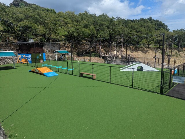 【さがみ湖MORI MORI】アジリティ、洗い場、フォトスポットなど完備したドッグランがオープン