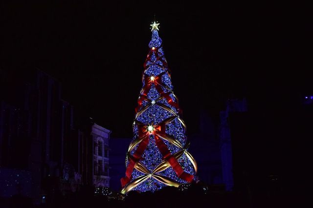 一生に一度は見たいクリスマスツリー｜ユニバーサル・ワンダー・クリスマス｜ユニバーサル・スタジオ・ジャパン