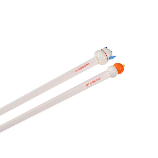 スティッチ＆スクランプ お箸 NEW YEAR STITCH 2026 1,600円