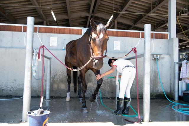 試合後は厩舎に戻り、馬を隅々まできれいに洗ってあげる。脚を洗おうとすると馬が自ら脚を上げてくれる。ライダーと馬の信頼関係が見える一コマだ