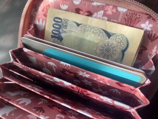 【宝島社　MOOMIN カードが見やすい じゃばら式コンパクト財布 BOOK SMOKY PINK】カードをたくさん入れてもファスナーがあるので落とす心配もありません