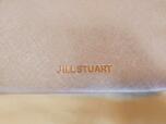 ゴールドのロゴが高級感あり【JILL STUART付録：ストラップ付きポーチ】