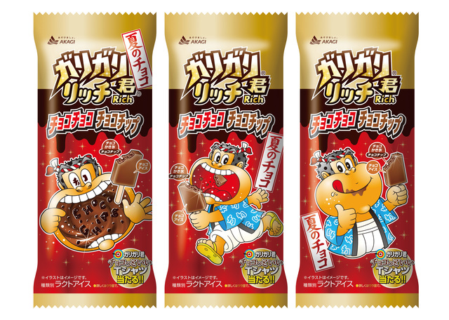 ガリガリ君リッチチョコチョコチョコチップ