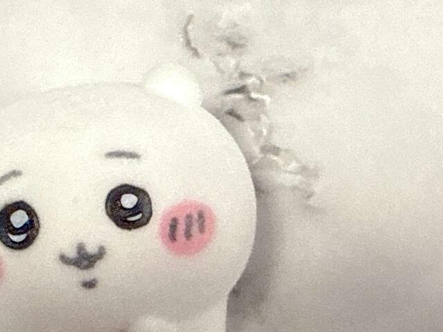 このふわふわの毛並み、伝わりますか？かわいすぎる〜！