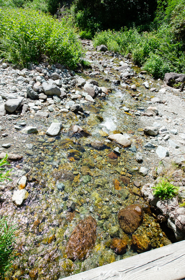 ぜひ行ってほしい楠川の清流｜栂池自然園