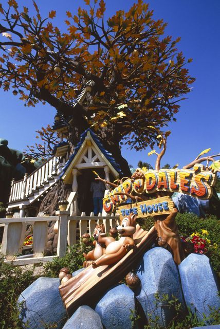 チップとデールのツリーハウス｜乳幼児と一緒に楽しめるアトラクション｜東京ディズニーランド