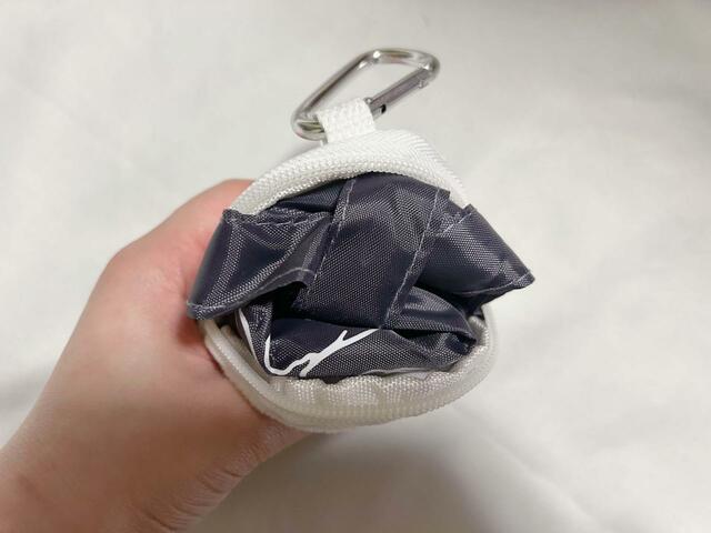 エコバッグを入れてみた