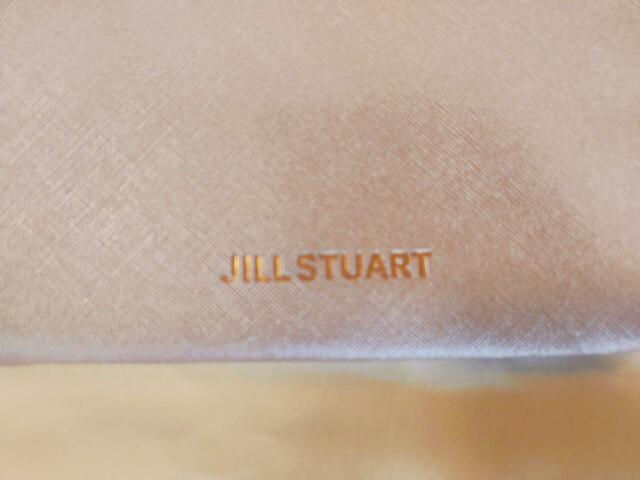 ゴールドのロゴが高級感あり【JILL STUART付録：ストラップ付きポーチ】