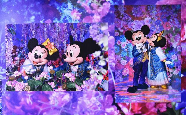 ウィッシュ　イマジニング・ザ・マジック“カラー・オブ・ファンタジー”ルーム