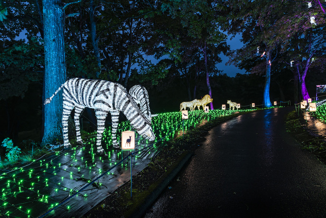 アパリゾート上越妙高「アパリュージョン2019」ナイトサファリアニマルロード