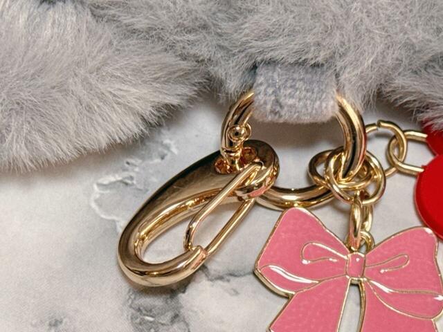 キーリングにキーホルダーがついています