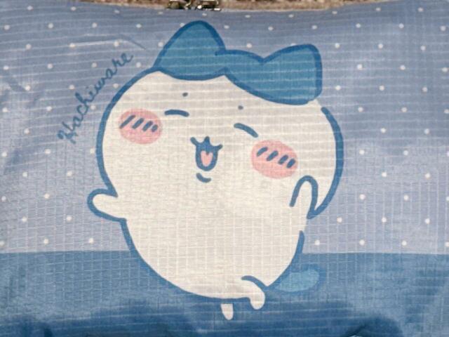 にっこりスマイルのハチワレがかわいすぎませんか…？！