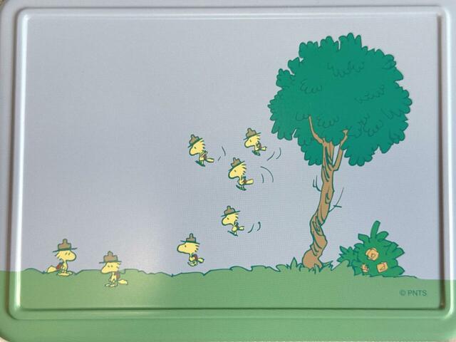 ウッドストックがたくさん描かれています♪