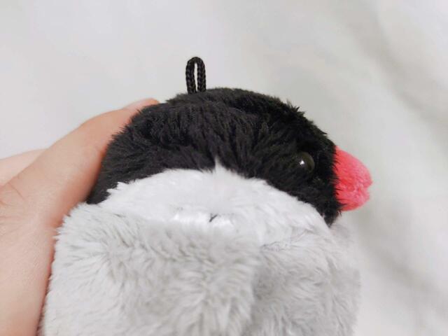 「輪っか」状の紐付き