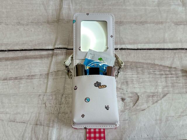 染み抜きシートと口紅とリップ合計3本を収納