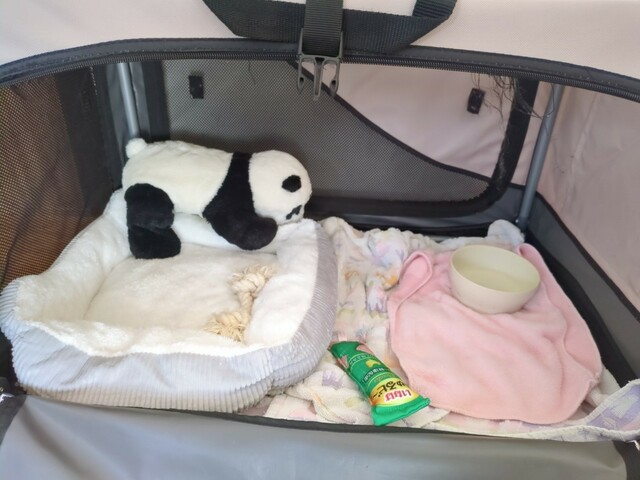 【ペットベッド（コーデュロイ）】早速ケージにセット