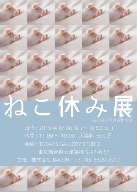 可愛すぎる!いろんな“もふもふ”猫が見られるフォトギャラリー