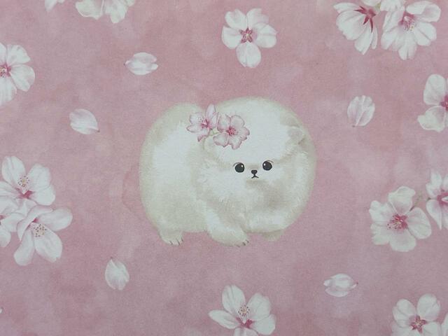 つぶらな目がたまりません…！