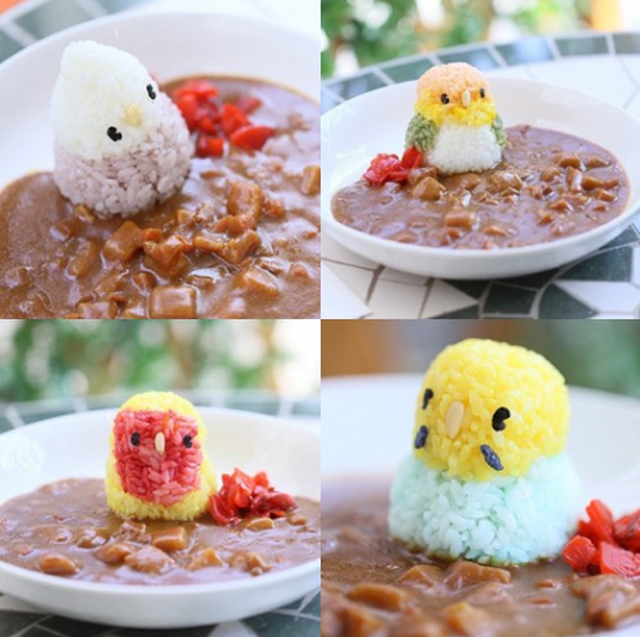 ことりカフェ/吉祥寺店・カレー