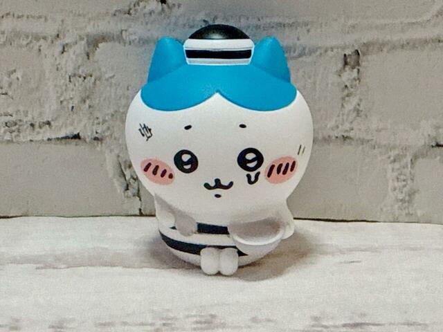 囚人服姿のハチワレも！7．ハチワレ（つかまっちゃった）