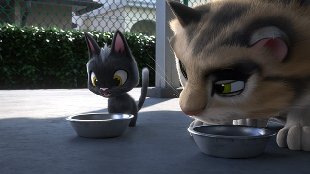 『ルドルフとイッパイアッテナ』　８月公開 ©2016「ルドルフとイッパイアッテナ」製作委員会 