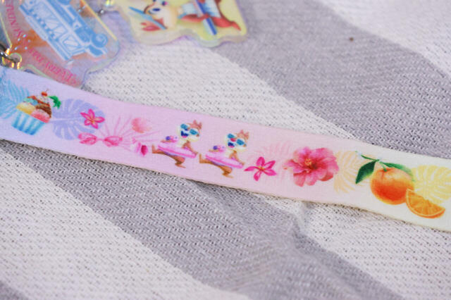 グミキャンディー、ミニスナックケース付き 1200円｜チップとデールのイラスト