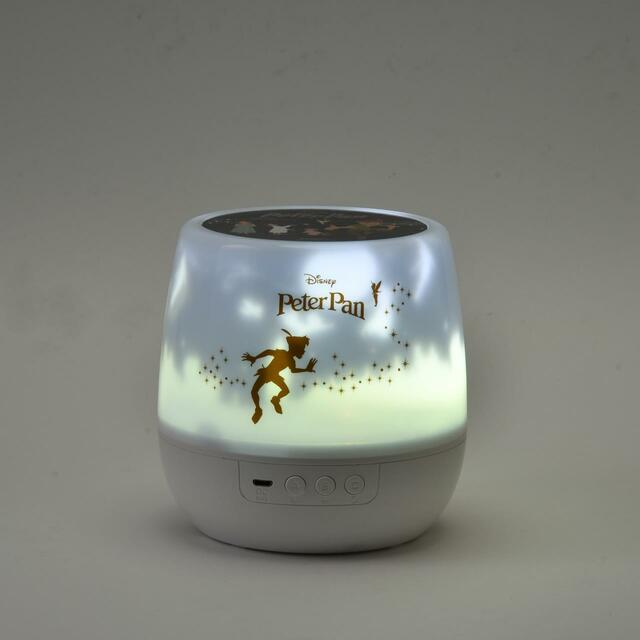 ピーター・パン ルームプロジェクション PETER PAN 70YEARS 4,400円