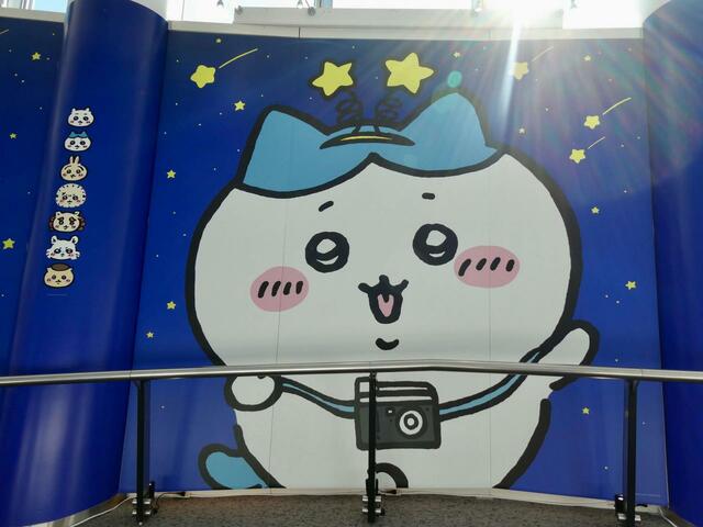 大壁面に描かれたハチワレもキュート！隣に並んで写真を撮っても◎