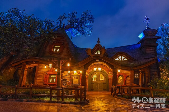 東京ディズニーシー「ファンタジースプリングス」内「ラプンツェルの森」