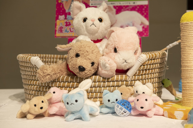 夢ペット ねこ産んじゃった！／いぬ産んじゃった！／うさぎ産んじゃった！　撮影：荒熊流星