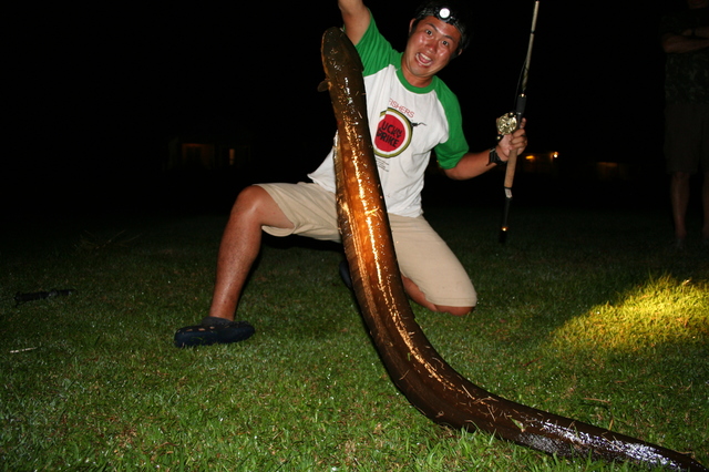 過去に釣り上げたデンキナマズ。その際には感電もしたようだが、肘のあたりまでジーンとしびれる程度で想像よりも大したことはなかったそう