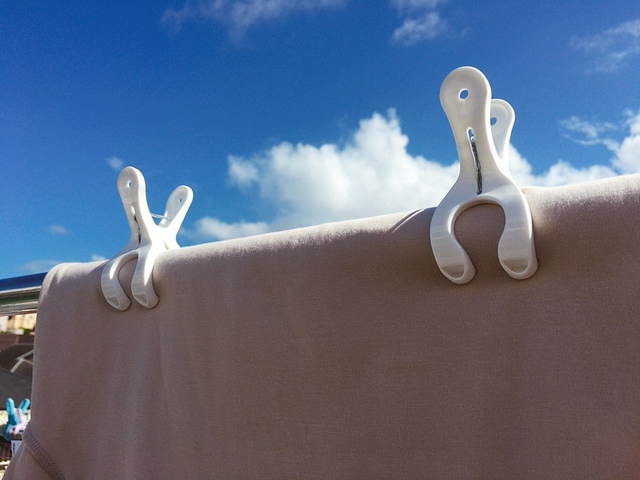 【ニトリ Y型ピンチ 小 10個入り(ホワイト)】風が強い日も安心