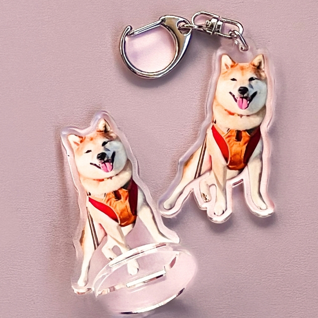アクスタもキーホルダーも可愛すぎます