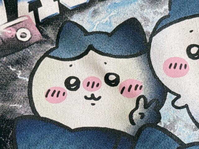 少し照れた様子でピースサインをするハチワレもかわいい…！