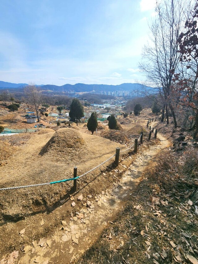 登山道に沿って広がる共同墓地（秋）