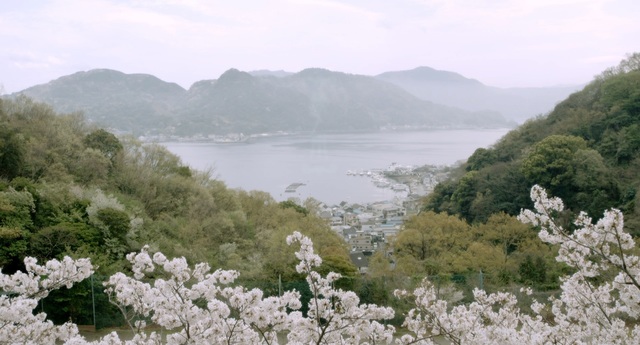 ©2015 halyosy、藤田遼、雨宮ひとみ、スタジオ・ハードデラックス／PHP研究所／『桜ノ雨』製作委員会