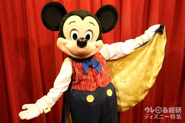 フロリダディズニー ミッキー フロリダ ディズニー ミッキー ダッフィー ぬいぐるみ ダッフィーと