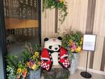【三井ガーデンホテル上野】ハッピを着たパンダがお出迎え♪