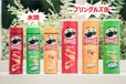 PRINGLES 真空断熱水筒BOOK