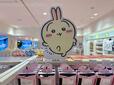 陳列棚の上部にうさぎが♪かわいい〜！