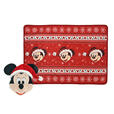 ミッキー ブランケット 2WAY DISNEY CHRISTMAS 5,500円