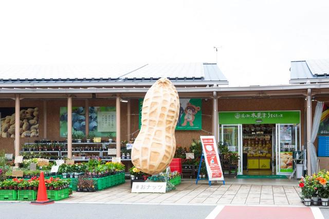 巨大なピーナツがお出迎え！　インスタ映えすると大人気なのだそう