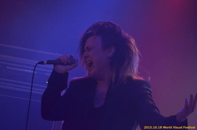 ワールドヴィジュアルフェスティバル