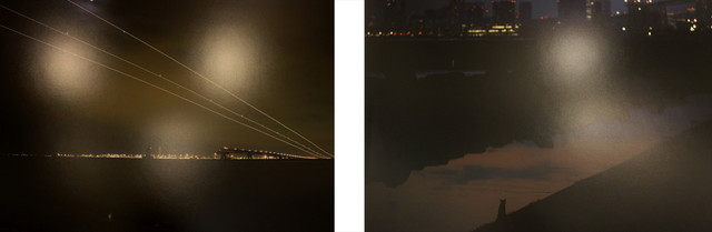 真っ暗な中、海辺を横切る猫たち、ものすごいスピードで走る猫。ネコは夜が似合う。（星野俊光）