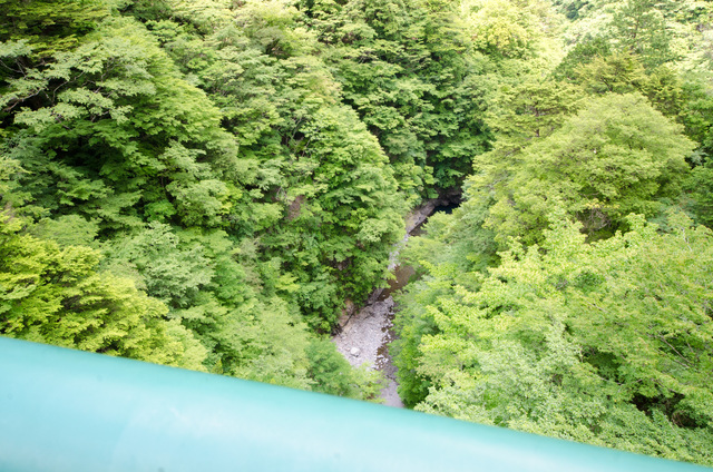 飛龍橋からの景色｜「夢の吊り橋」散策ルート：寸又峡プロムナード